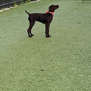 Meet your Posher, Philip